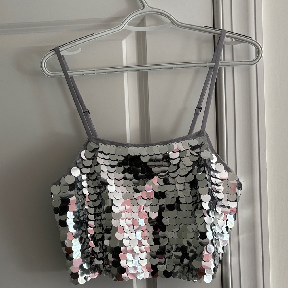 Wild Fable Sequin Crop Top - Silver and Pink